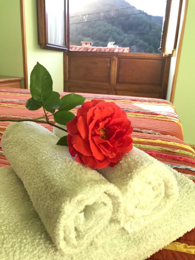 Apartamentos Rurales Los Nogales كوسغايا المظهر الخارجي الصورة