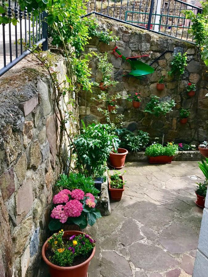 Apartamentos Rurales Los Nogales كوسغايا المظهر الخارجي الصورة