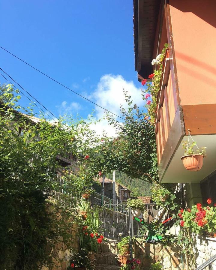 Apartamentos Rurales Los Nogales كوسغايا المظهر الخارجي الصورة